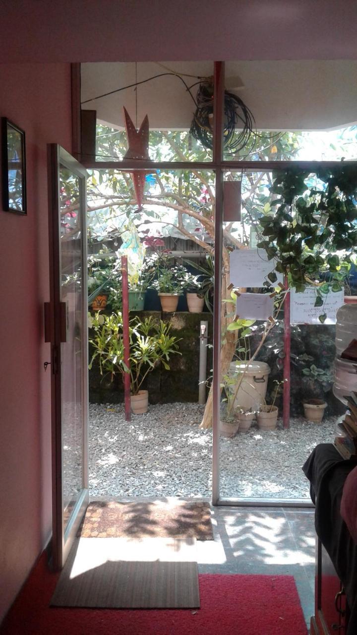 Baby House Hotel Varkala Ngoại thất bức ảnh